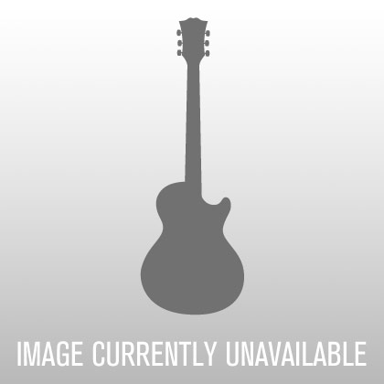 Mesa/Boogie JP-2C John Petrucci Tube Guitar Amplifier Head (100 Watts)